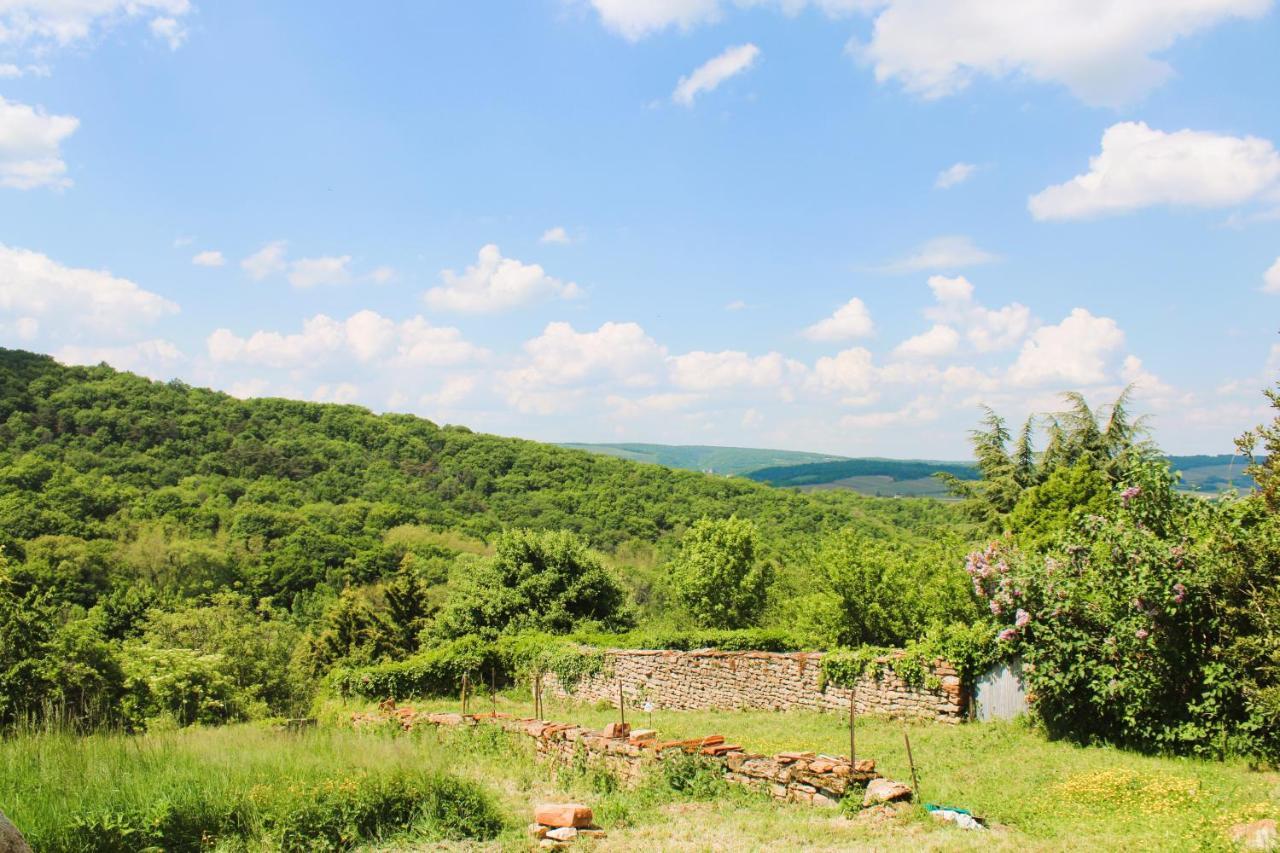 Le Clos Des Pierres Rouges Burgy Екстериор снимка